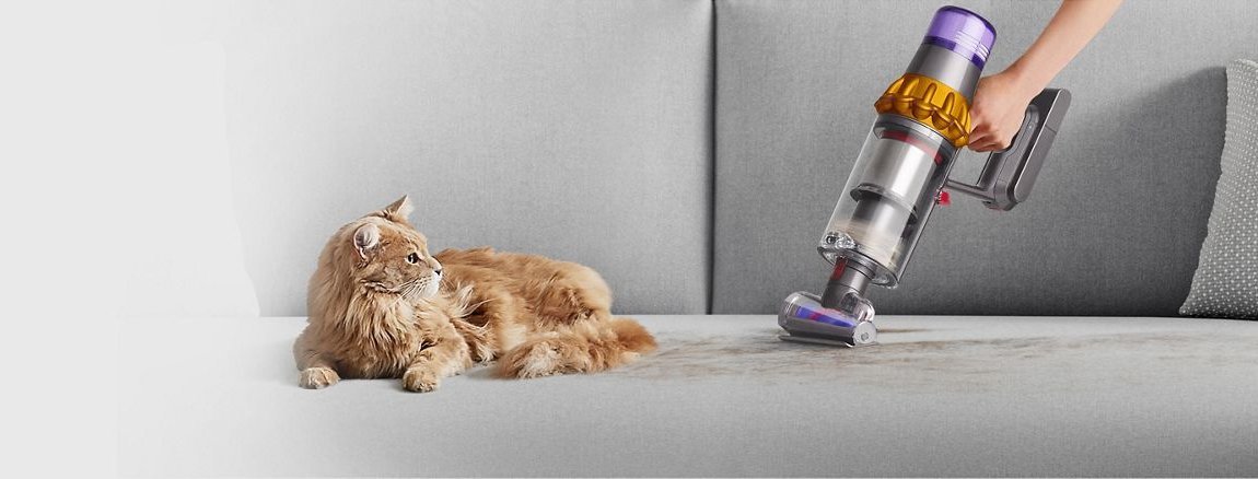 Cleaning pet hair off a couch